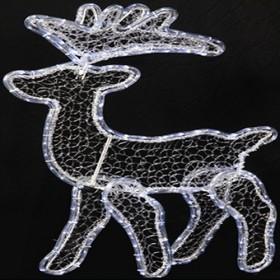 Christmas Lights