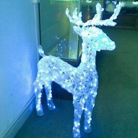 Christmas Lights
