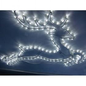 Christmas Lights