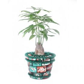 Decorative Fake Flowerpot With 100% Environmental PP With Cute PU Cover