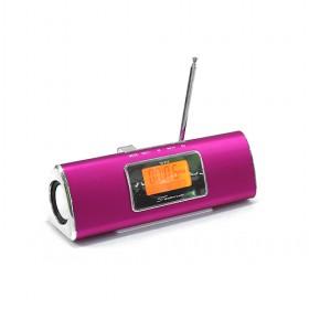Rosepink And Silver Multimedia Audio Computer Speaker/ Amplifier