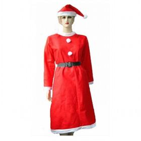 2013 Christmas Costume/clothes For Women, Adult Santa Claus Costume