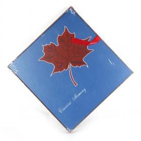 NEW Hello Memory Leaf Photo Album,photograph Book