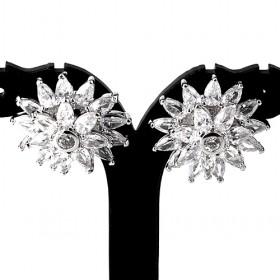 Popular Zircon Earrings