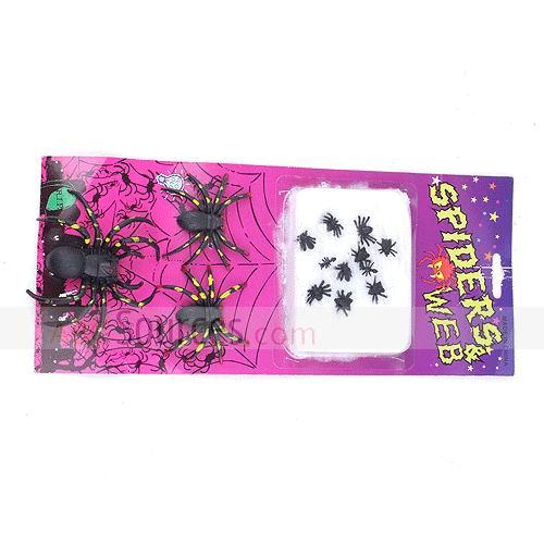 Spider