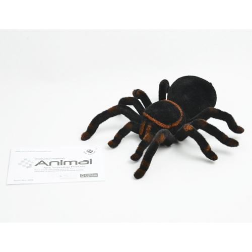 Bluetooth Remote Control Toys